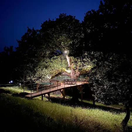 Dimora Igea 3* Montano Antilia