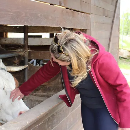 Dimora Igea Panzió Montano Antilia