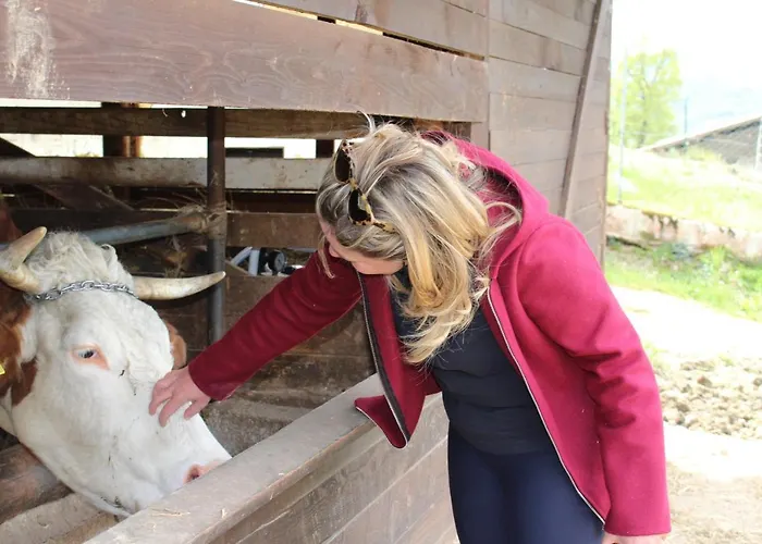 Dimora Igea Alojamento de Acomodação e Pequeno-almoço Montano Antilia